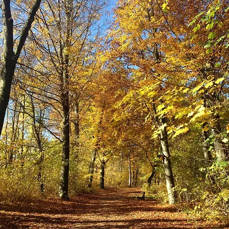 Altstadtstudio Apartment