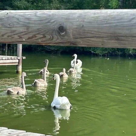 Apartment Altstadtstudio