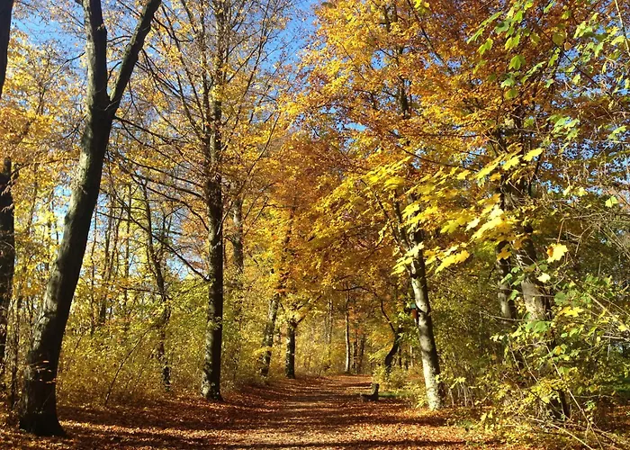 Altstadtstudio Апартаменты