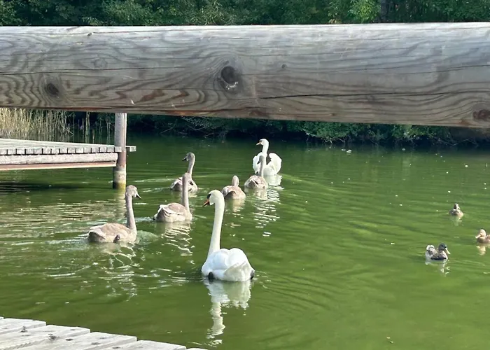 아파트 Altstadtstudio